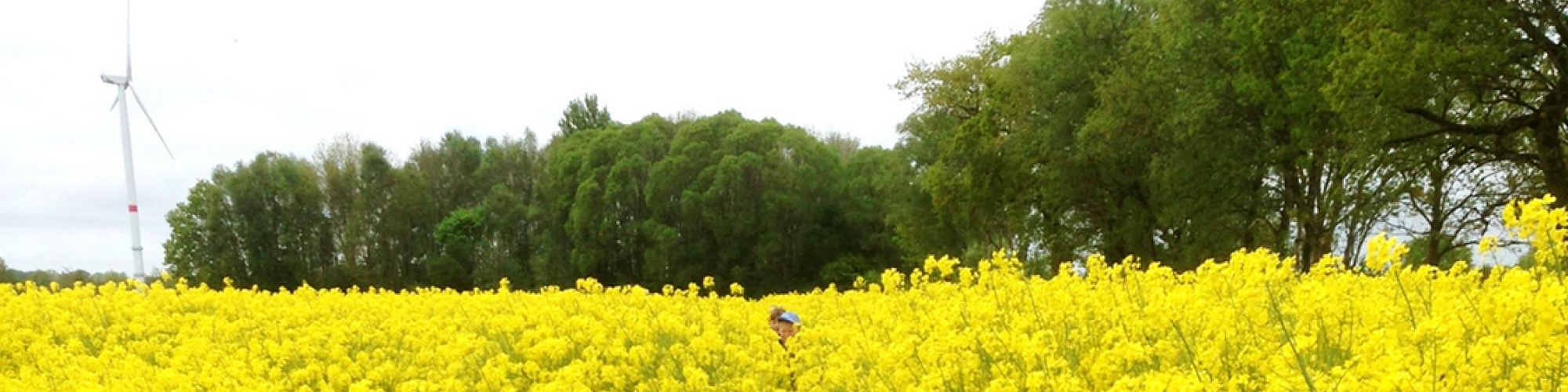 Amt Bad Bramstedt Land